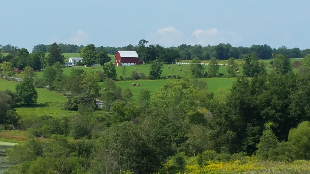 Summer Farm Scene